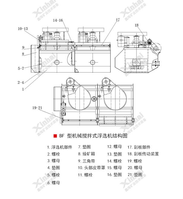 BF-2.jpg